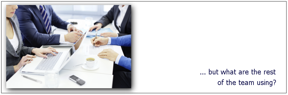 The rest of the team wiithout custom database software